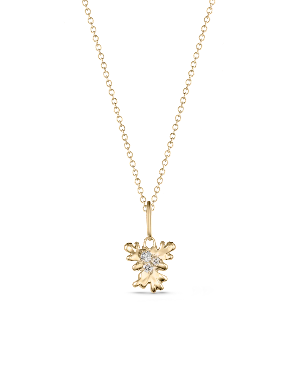 Isola Coral Attachment - Image 9