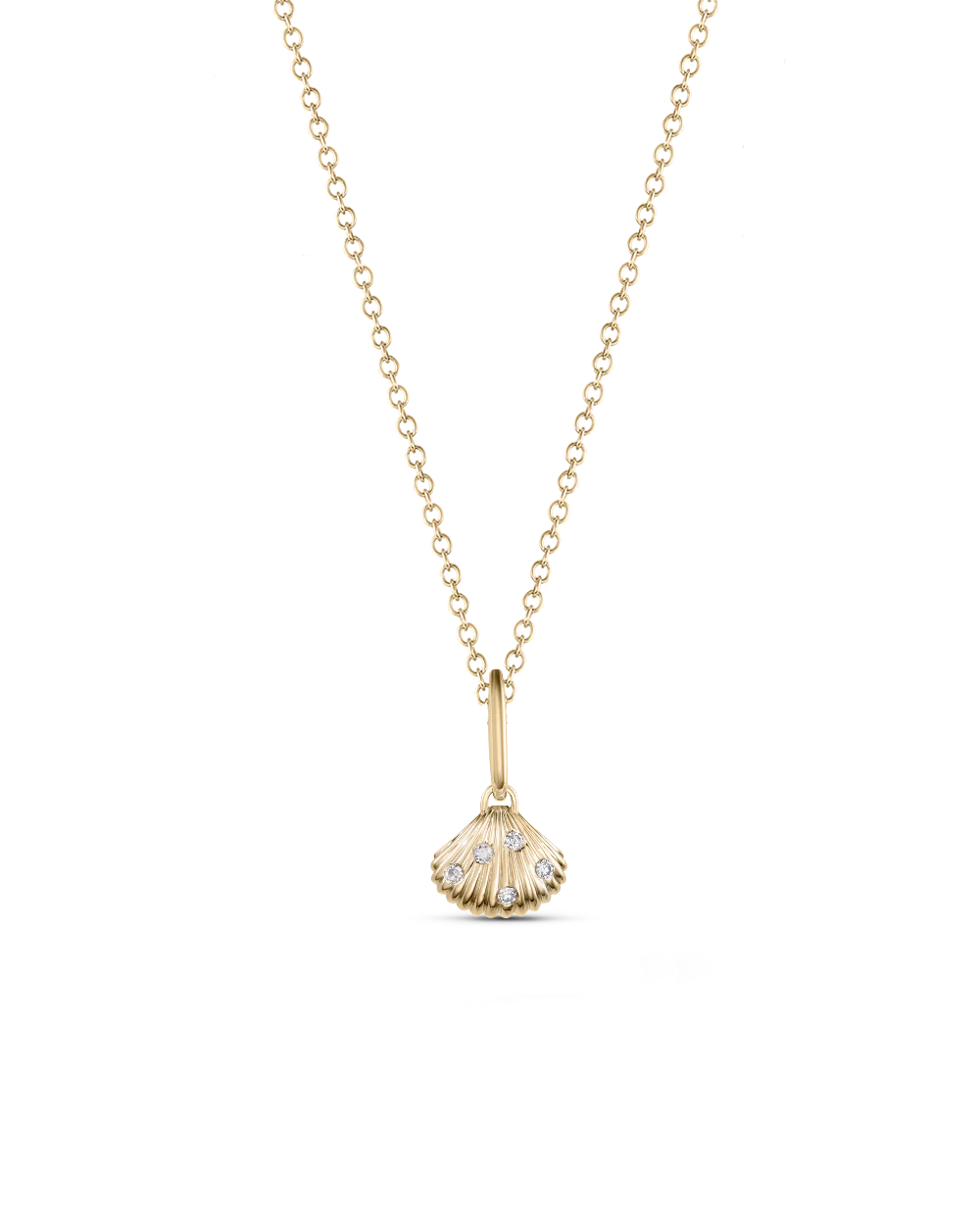 Venus Shell Attachment - Image 11